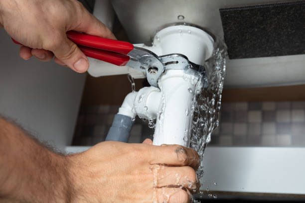 Best Professional water damage repair  in Talty, TX