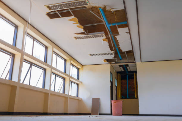 Best Basement water damage restoration  in Talty, TX