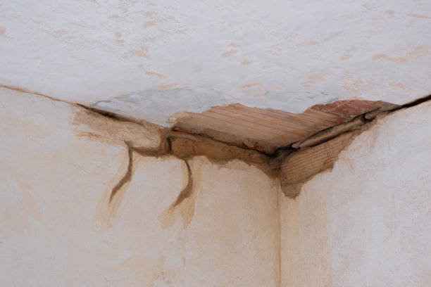 Best Local water damage restoration  in Talty, TX