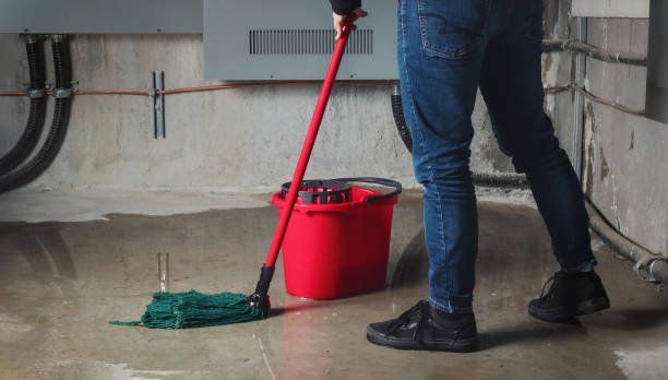Best Basement water damage restoration  in Talty, TX