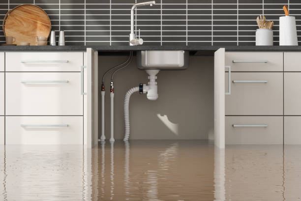 Best Water damage restoration near me  in Talty, TX