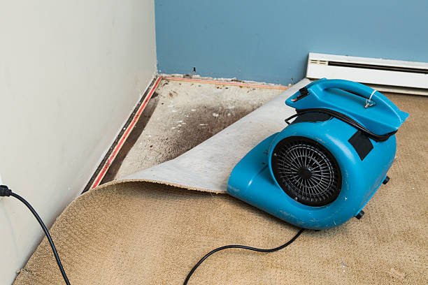 Best Water damage contractors near me  in Talty, TX